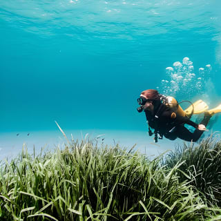Try Scuba Diving by Boat in Mallorca 2