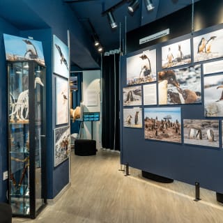 ANTARCTICA 360 - CG GALLERY | LLORET DE MAR 14