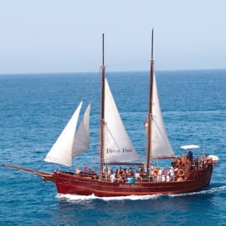 Los Cristianos: Paseo en barco guiado para avistar ballenas 1