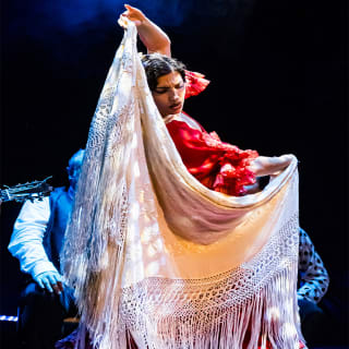 Teatro Flamenco Granada: Vive la experiencia del Flamenco 5