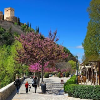Catedral de Granada, Capilla Real, Albaicín y Sacromonte: Visita guiada 15