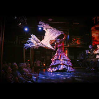 Teatro Flamenco Málaga: Vive la experiencia del Flamenco 2