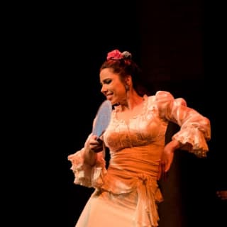 Museo del Baile Flamenco: Solo el espectáculo 14