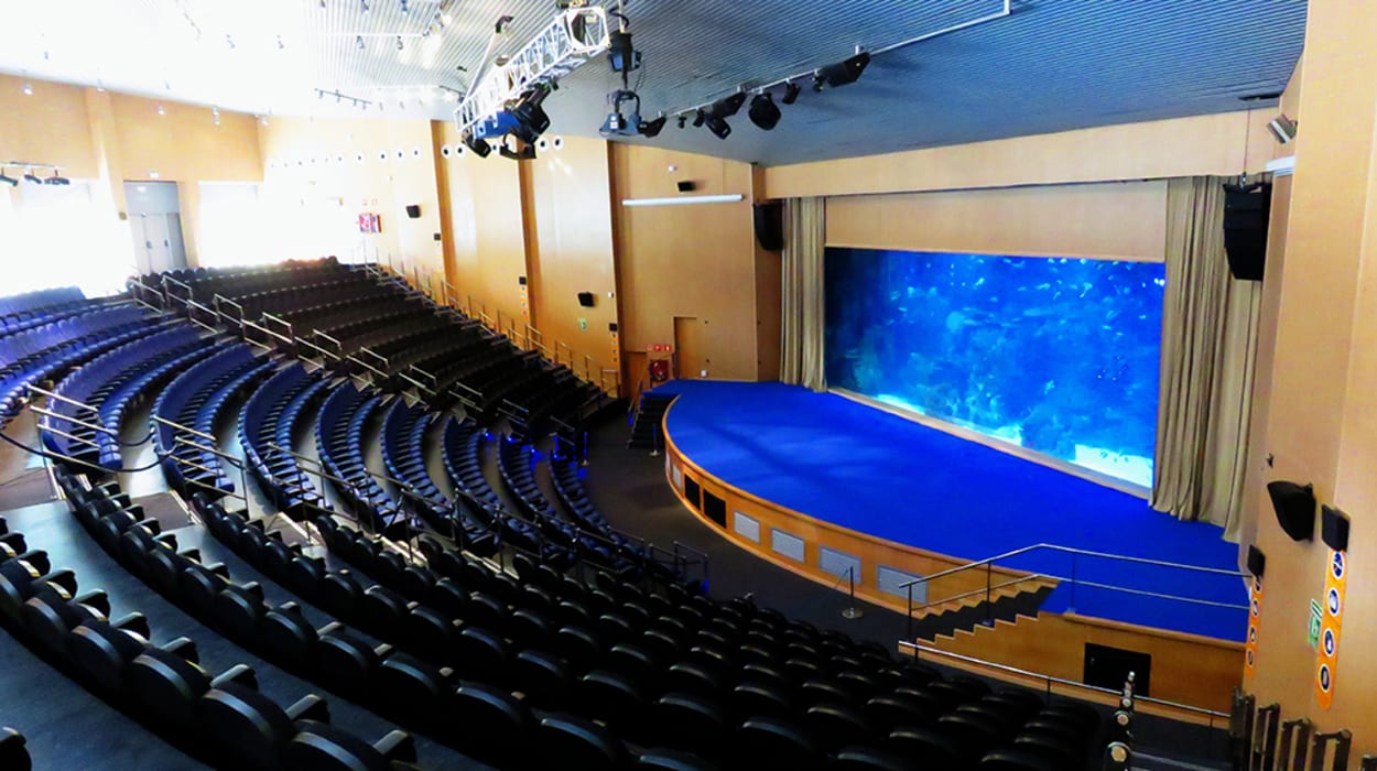 Auditorio Mar Rojo - Oceanogràfic València