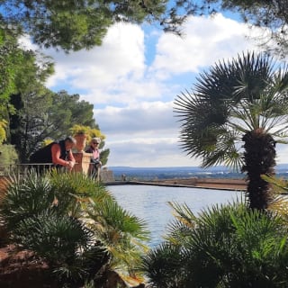 Mallorca: Valle de los Naranjos y Valldemossa Visita Guiada + Traslados 17