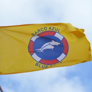 Los Cristianos: Paseo en barco guiado para avistar ballenas 2