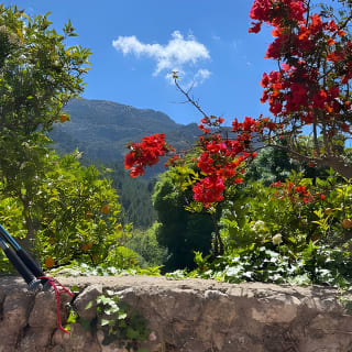 Sierra de Tramuntana hike with small picnic 15