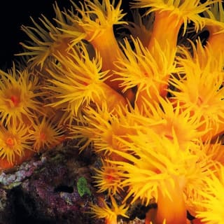Palma Aquarium: Entrada gratuita + Cine Aquadome 3D opcional 56