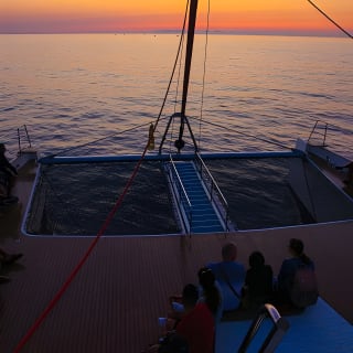Sunrise Boat Trip in Mallorca with Dolphin-Watching 13