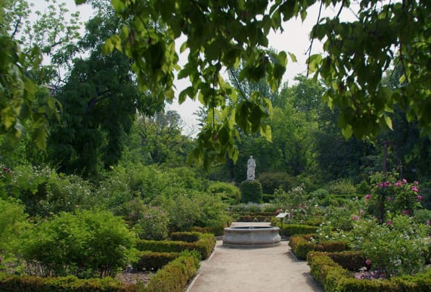 Real Jardín Botánico de la Complutense