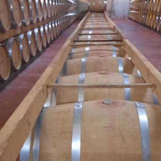 Mallorca: Visita guiada a Bodegas y Almazara + Catas + Traslado de ida y vuelta 6