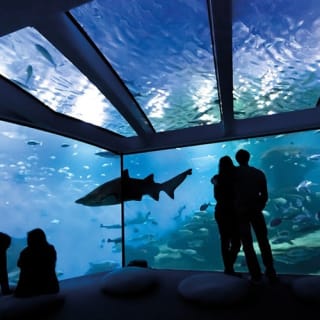 Palma Aquarium: Entrada gratuita + Cine Aquadome 3D opcional 29