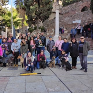 Museo Picasso Málaga: visita guiada 24