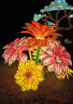Photo 10 from Parque de la Alhóndiga