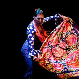 Museo del Baile Flamenco: Entrada + Puro Espectáculo Flamenco 9