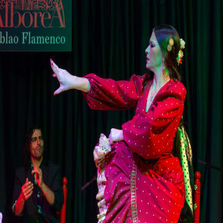 Tablao Flamenco La Alboreá: Espectáculo de Flamenco en Granada 1