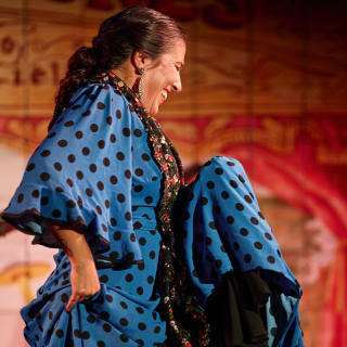 Experiencia Flamenca en la Puerta de Alcalá 4