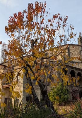 Photo 5 from Monasterio de Yuste