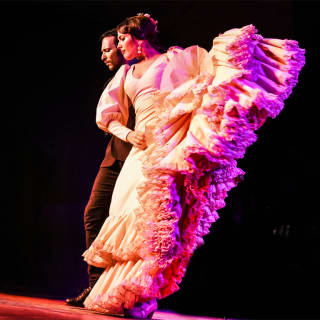 Espectáculo de Flamenco en directo 2