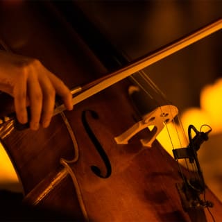 Candlelight: La ley innata 3
