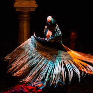 Museo del Baile Flamenco: Solo el espectáculo 27