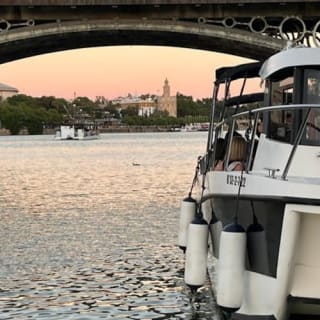 Sevilla: Paseo guiado en barco por el Guadalquivir 5