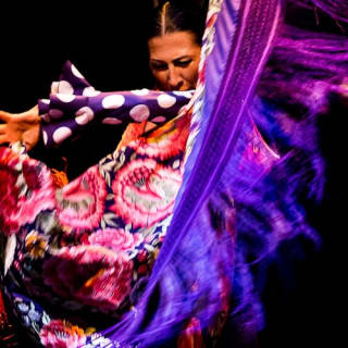 Museo del Baile Flamenco: Solo el espectáculo 13