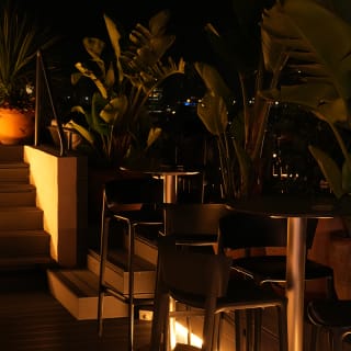 Tarot & Cocktails en Eleven Rooftop 4