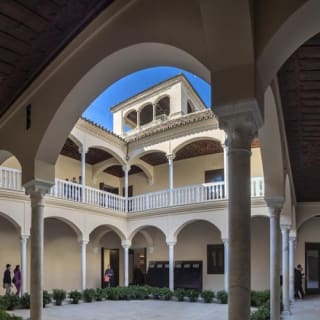 Museo Picasso Málaga: visita guiada 14