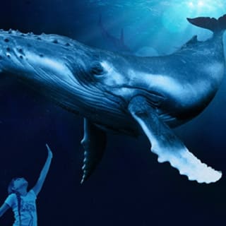 Palma Aquarium: Entrada gratuita + Cine Aquadome 3D opcional 42