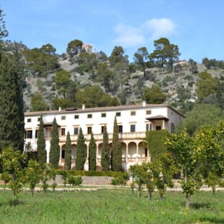 Mallorca: Valle de los Naranjos y Valldemossa Visita Guiada + Traslados 16