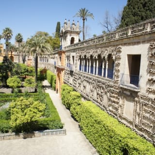 Real Alcázar de Sevilla: Visita guiada 9