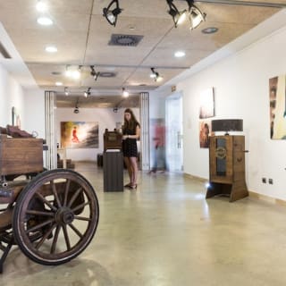 Museo del Baile Flamenco: Entrada + Puro Espectáculo Flamenco 2