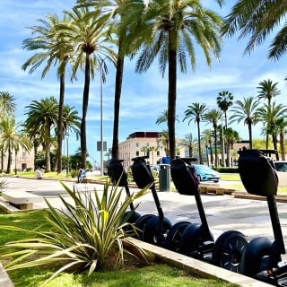 Evening 2 hour Segway Tour of Palma 6