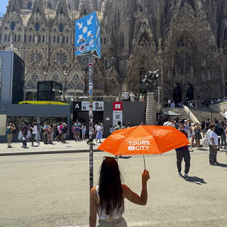 Especial Gaudí: Visita guiada a la Sagrada Familia y el Parc Güell 2