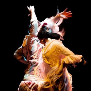 Museo del Baile Flamenco: Entrada + Puro Espectáculo Flamenco 7