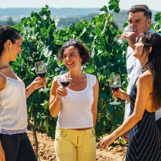 Paseo en velero y tour de vino de Alella 4