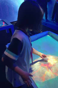 Photo 5 from Chaos Lab Madrid