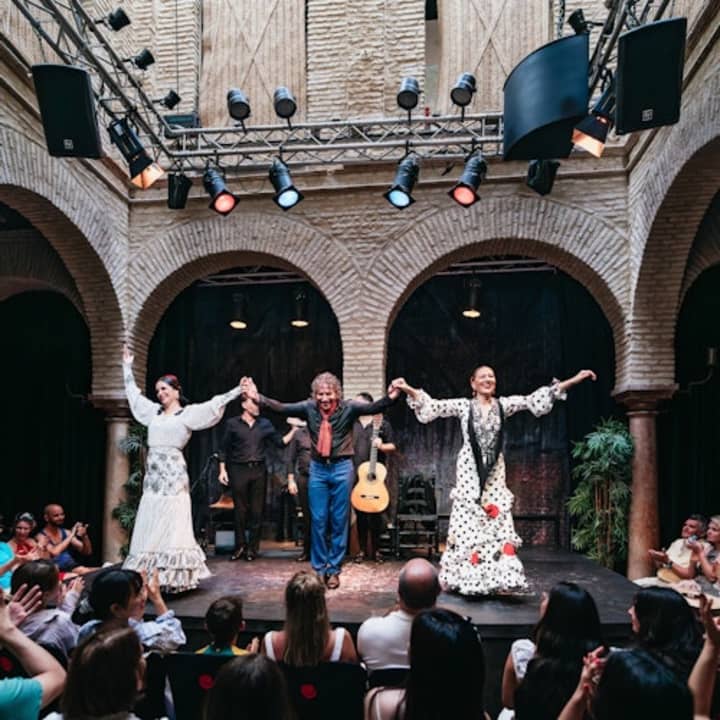 Museo del Baile Flamenco: Entrada + Espectáculo Flamenco Matinée