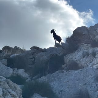Sierra de Tramuntana hike with small picnic 26