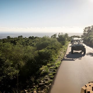 Buggy 2-seater and 4-seater Off-On Road Tour in Mallorca 12
