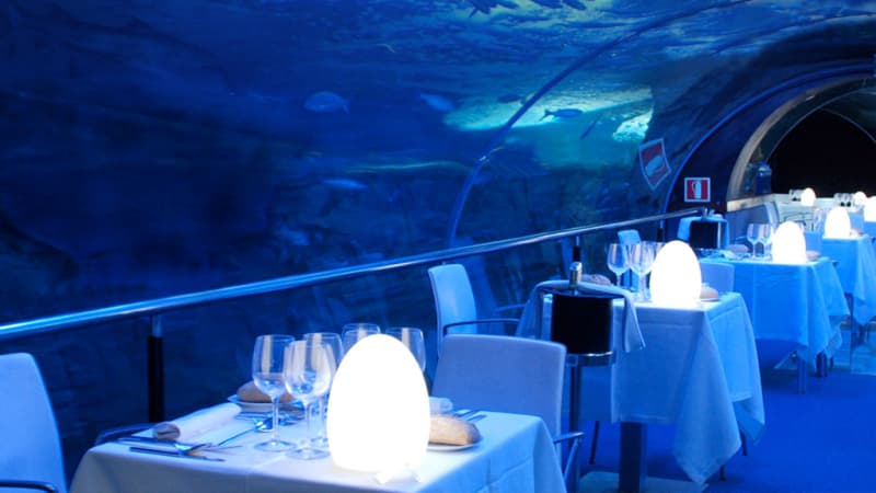 Aquarium Donostia - San Sebastián