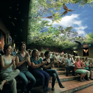 Loro Parque: Entrada 2
