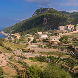 Recorrido por la isla de Mallorca: Autobús, tren, tranvía y barco 15