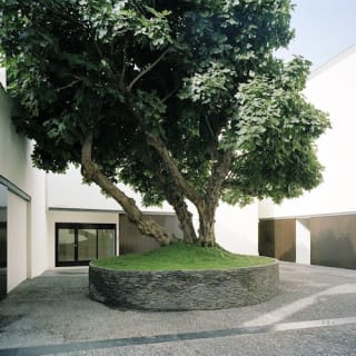 Museo Picasso Málaga: visita guiada 13