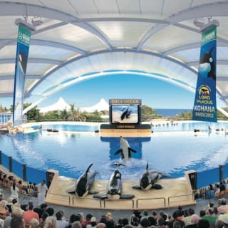 Loro Parque: Entrada 31