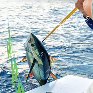 Fishing with Royal Charters Mallorca Best prices 4