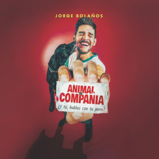 Animal de Compañía 1