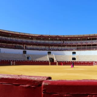Plaza de Toros de La Malagueta: Entrada + Audioguía 2