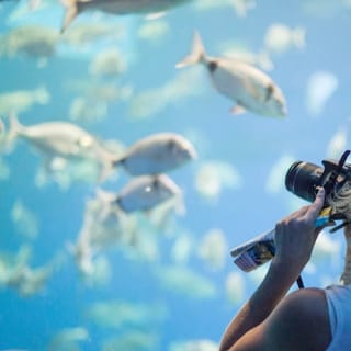 Palma Aquarium: Entrada gratuita + Cine Aquadome 3D opcional 81